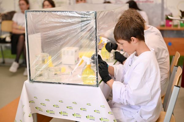 Школьники устроили баттл биолабораторий в селе Мальбагуш