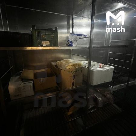 Больше 20 российских моряков голодают на танкере у берегов Индии