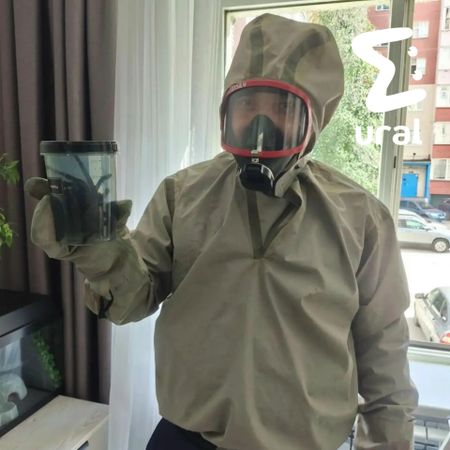 Тропический паук размером с ладонь залез в квартиру женщины в Сургуте