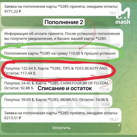 Сервис по выпуску банковских карт "Плати по миру" заподозрили в мошенничестве