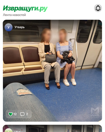 Коллаж из фотографий, опубликованных в сообществах "фотоохотников"