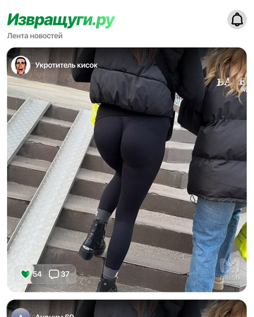 Коллаж из фотографий, опубликованных в сообществах "фотоохотников"