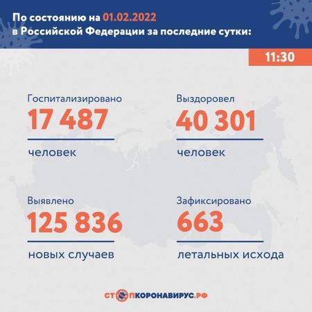 Обновления ковидной статистики: