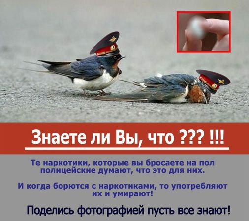 В Дагестане участковый умер от передоза в гостях у коллеги из наркоконтроля. Постмодерн, остановись!