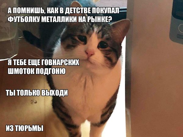 Находившийся в федеральном розыске мужчина не мог пропустить концерт любимой "Металлики".