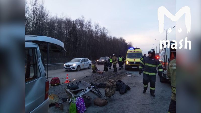 Микроавтобус Mercedes Vito, столкнувшийся с фурой на трассе М-4, ехал из Тулы. Предварительно, водитель заснул за рулем, и когда фура Scania притормозила, врезался в ее корму.