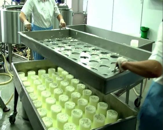 Чаплыгинский молочный комбинат в Липецкой области закрыт в связи с вспышкой дизентерии. Именно это предприятие поставляло питание в детские сады Москвы.