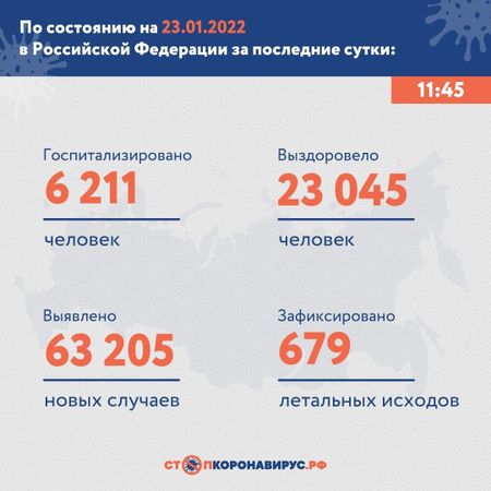Свежак с ковидных полей: