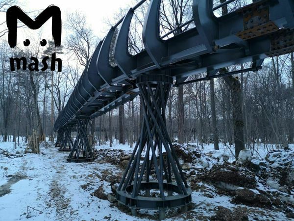 На ВДНХ в процессе реконструкции уничтожили 60-летний дуб за 16 миллионов.