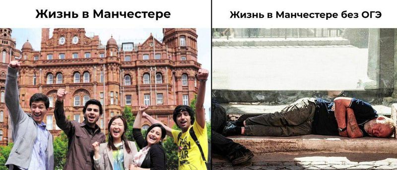 Сенатор из Ульяновска подал в суд на авиакомпанию из-за проваленного экзамена сына. И проиграл.