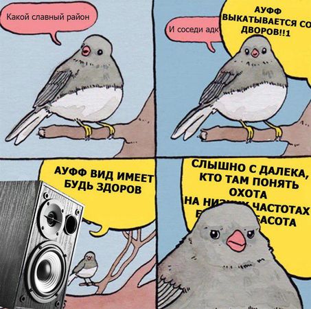 Система отпугивания птиц Шереметьево лишила сна жителей Долгопрудного.