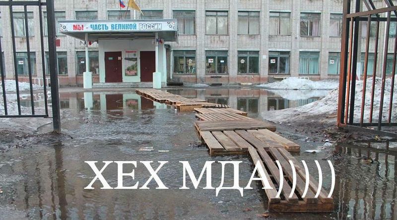Каждый пятый россиянин ежедневно ругается матом. Так говорит последний опрос ВЦИОМ.