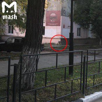 В Новороссийске эвакуировали детскую поликлинику из-за плюшевого медведя. Кто-то забыл игрушку у входа и посетители сразу же решили быть на стреме - вдруг там бомба или что похуже.