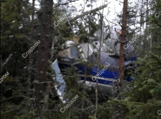 “Жесткая посадка на лесной массив” выглядит так. Фото самолета, который утром неудачно приземлился в Архангельской области из-за обледенения обшивки корпуса.