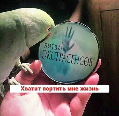 Житель Уфы подал в суд на "Битву экстрасенсов". Передача испортила ему жизнь, обвинив в убийстве.