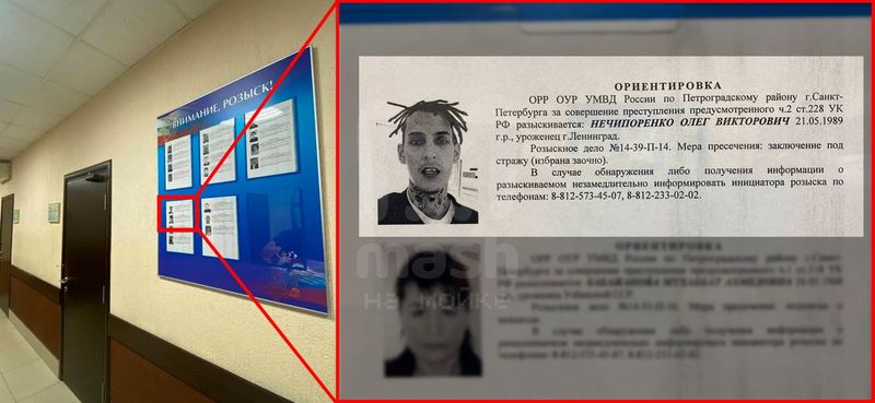 https://static.mash.ru/unsafe/rs:fit:800:450/czM6Ly9tYXNoL2ltYWdlLzIwMjItMDItMTAvZDk5MWRhOTItNzg4Yi00YWUzLWI5N2UtOWFjMjYwNTdmZTFjL0ZYR0ZES1l0MDZ0emlBRWNrRUlXLTE2MjI0NzAxMzY5MzkuanBlZw