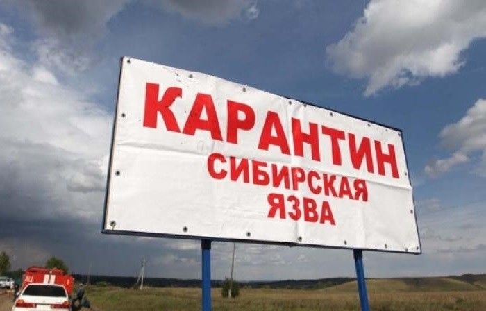Фермерша со Ставрополья подхватила сибирскую язву. В её станице проводят профилактику