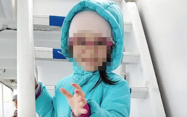 В Иркутске на органы опеки завели уголовное дело после изъятия ребенка из приемной семьи