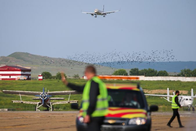 Фото: Елена Афонина/ТАСС