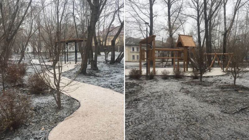 Фото: Соцсети