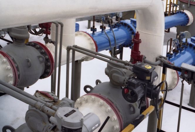 Фото: Никитин Николай/ITAR-TASS