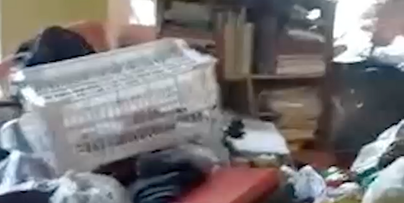 Тараканы, мыши и голодные коты не дают жить людям в краснодарской трёхэтажке