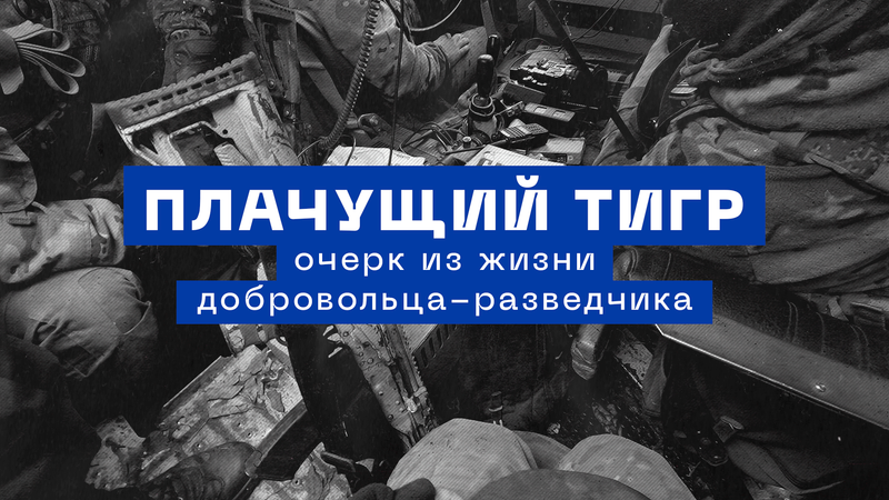 Плачущий тигр: очерк из жизни добровольца-разведчика на СВО