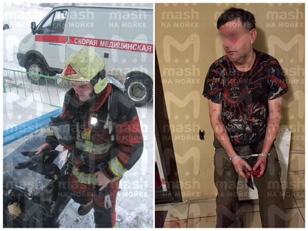Mash на Мойке — новости СПб