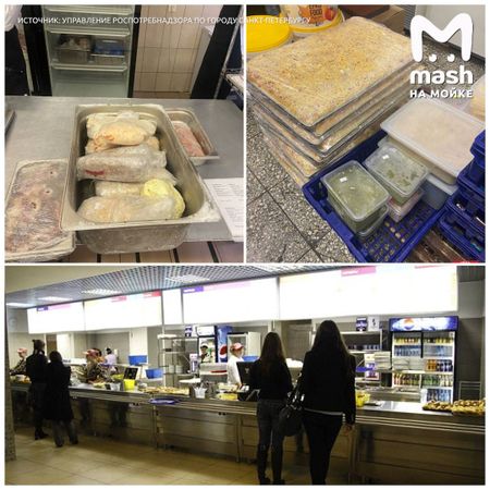 Mash на Мойке — новости СПб