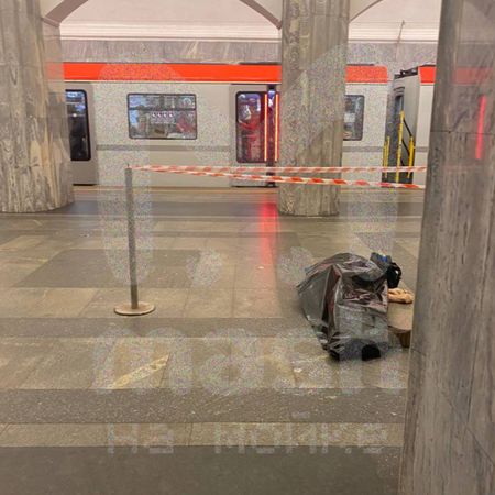 Mash на Мойке — новости СПб