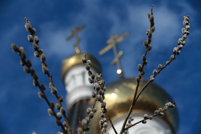 Фото: Владимир Смирнов/ТАСС