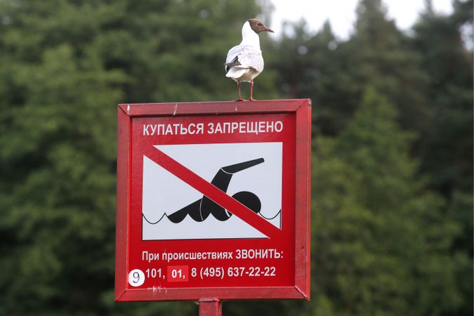 Фото: Андрей Махонин/ТАСС 