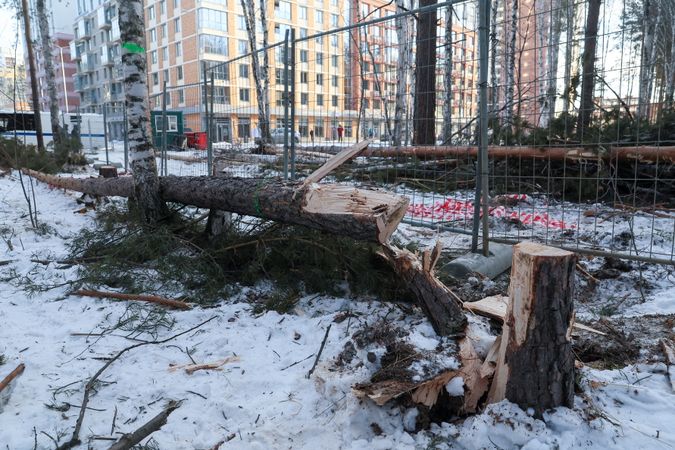 Фото: Донат Сорокин/ТАСС