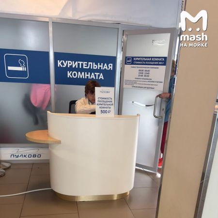 Mash на Мойке — новости СПб