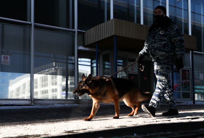 Фото: Антон Новодережкин/ТАСС