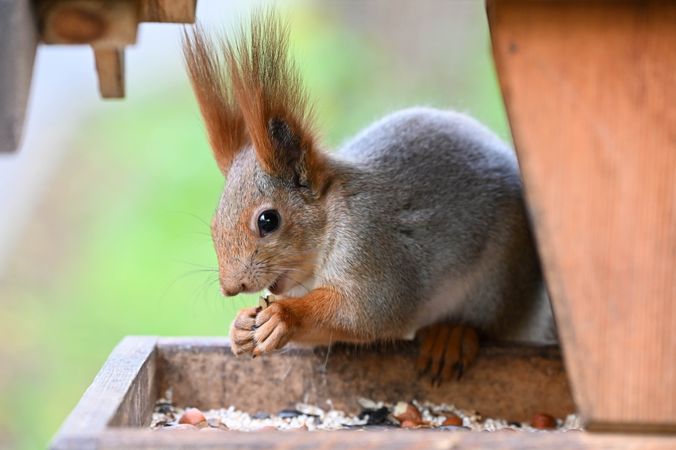 Фото: Игорь Онучин/ТАСС