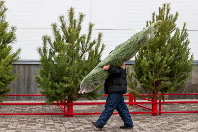 Фото: Дмитрий Рогулин/ТАСС