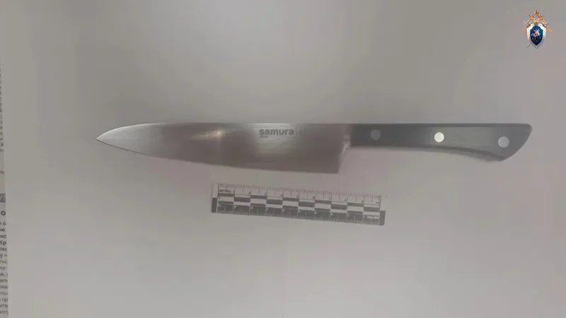 Напавшая на одноклассницу в Красноярском крае девочка принесла нож из дома