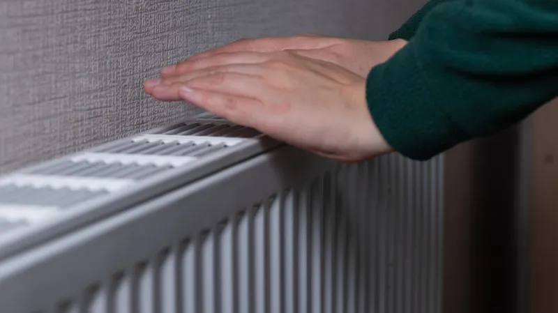 Фото: Светлана Денисова/ТАСС