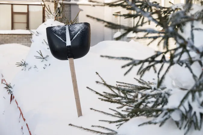 Фото: Сергей Елагин/Бизнес Online/ТАСС