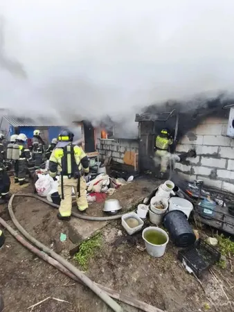 Около 200 чихуахуа погибли в пожаре в Нижнем Новгороде