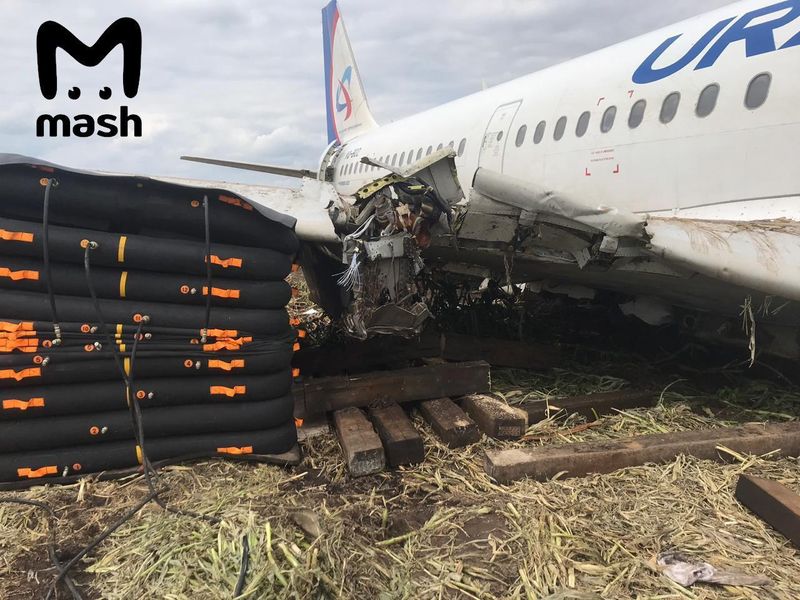 А вот так сейчас выглядит A321 “Уральских авиалиний”, севший в кукурузном поле в Подмосковье.