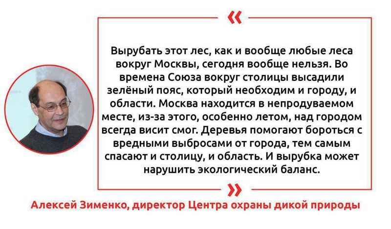 Подмосковные активисты пытаются спасти лес с краснокнижными животными. На его месте хотят сделать парк — второй по счёту.
