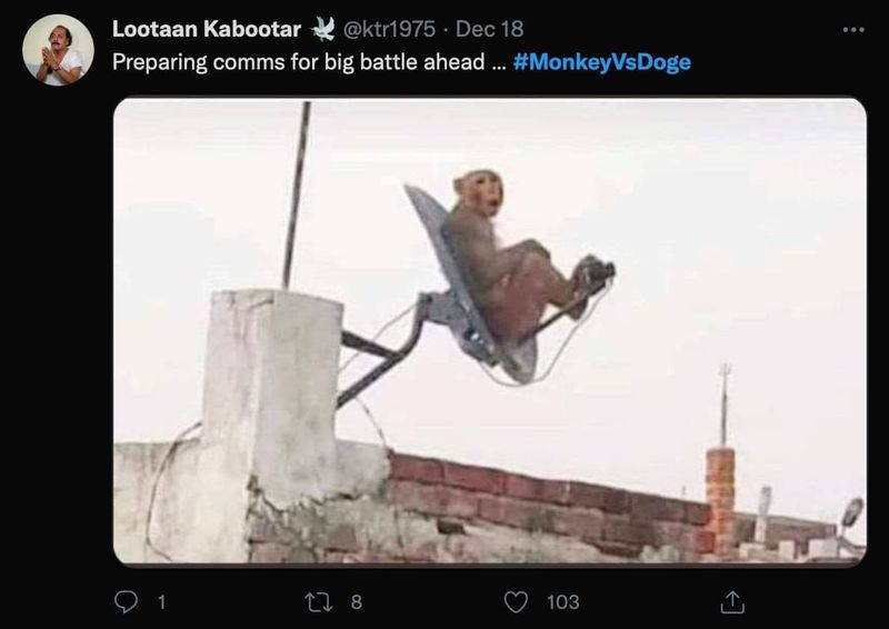 https://static.mash.ru/unsafe/rs:fit:800:800/czM6Ly9tYXNoL2ltYWdlLzIwMjItMDItMTAvODI4MjJiNTktNzkxOC00OWEyLWFlMzEtNTFiYjI4OGIyYjM5L0F6RGxLZkc0QkpZS2JRWnd2QmpWLTE2NDAwOTQ5NTUyMTEuanBlZw