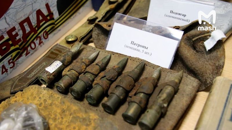 В Московской школе сапёры проверяют музей ВОВ — сотрудники полиции подозревают, что там выставили боевое оружие.