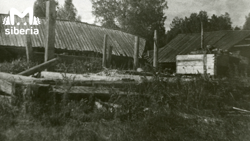 Опустевшая Устиновская заимка (1960-е года) 