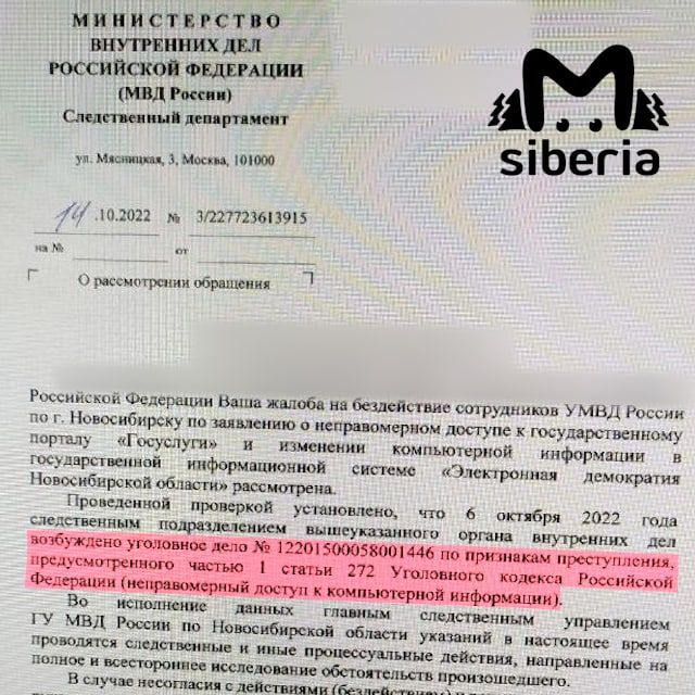 Возбуждено уголовное дело из-за электронного голосования по проекту мэрии Новосибирска о застройке Нижней Ельцовки