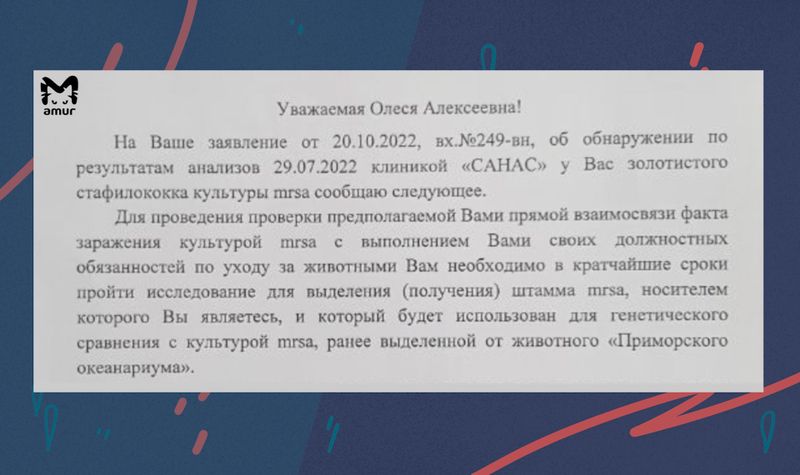 Могила афалины, или Приморский беспредел