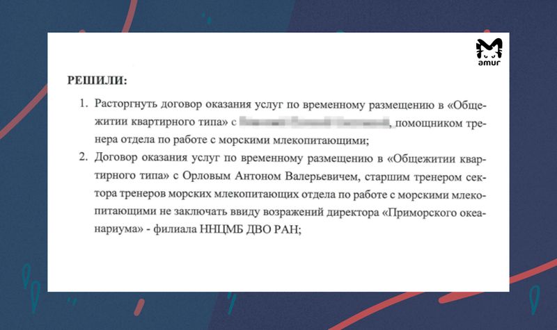 Могила афалины, или Приморский беспредел