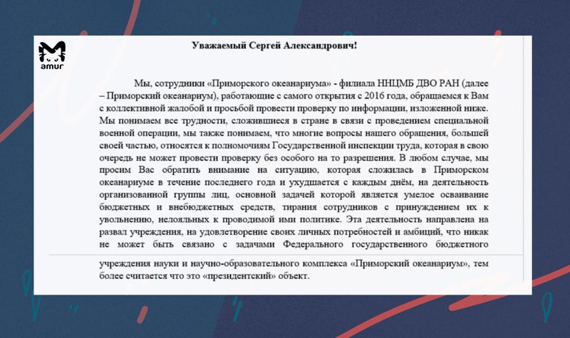 Могила афалины, или Приморский беспредел
